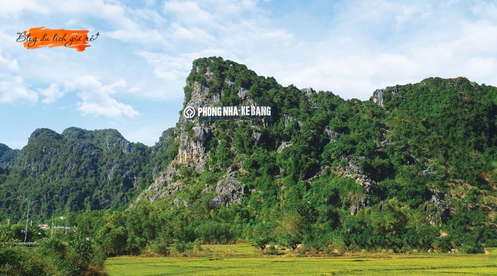 Tour động Phong Nha