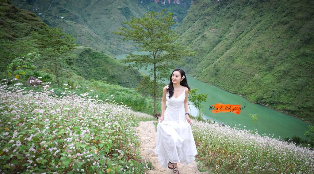 Tour sông nho quế